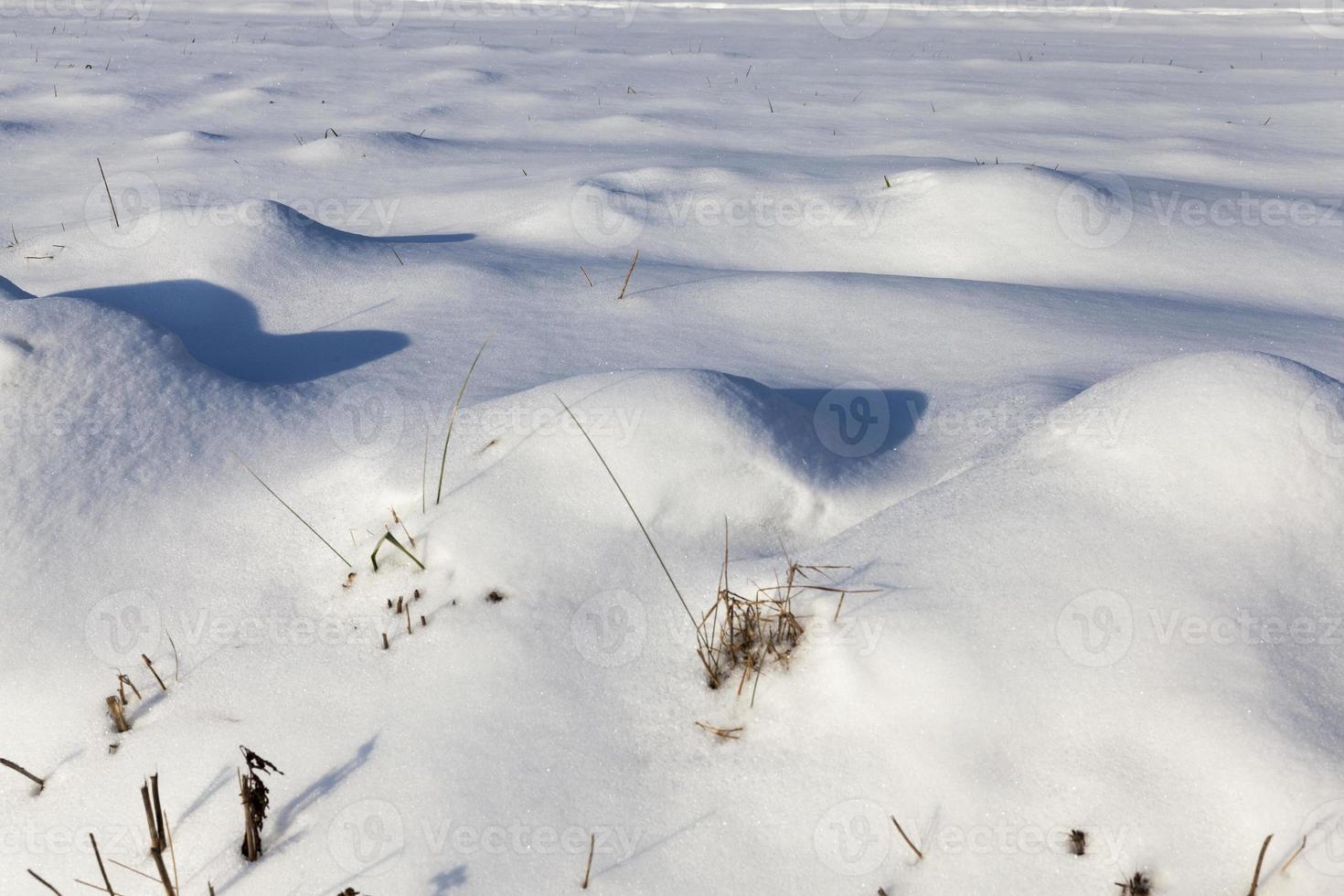 snowdrifts after snowfall in winter photo