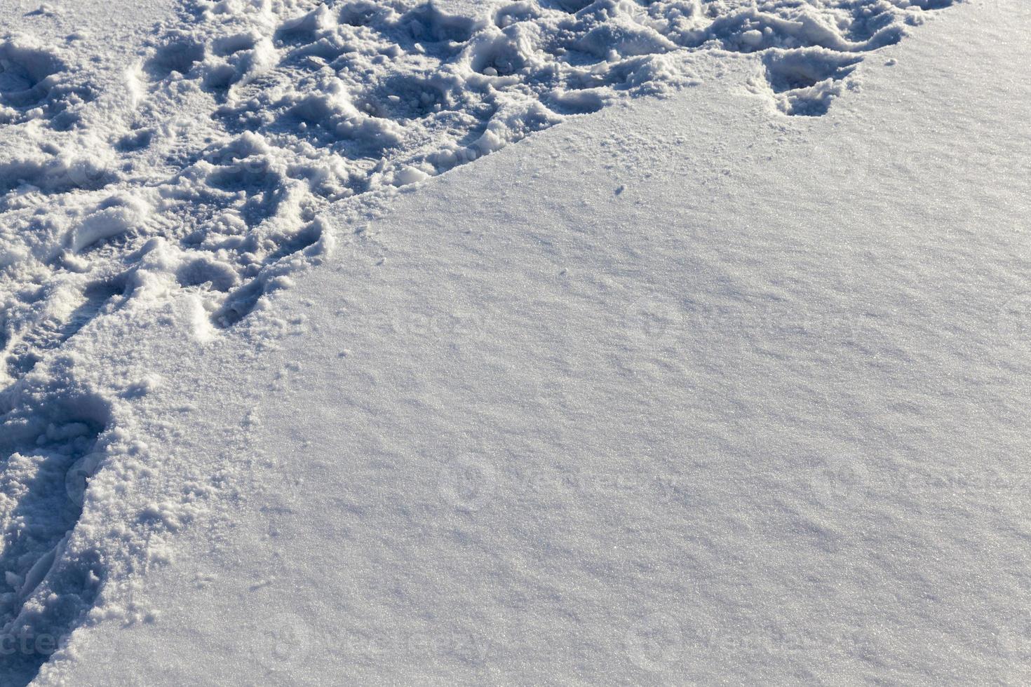 snowdrifts after snowfall in winter photo