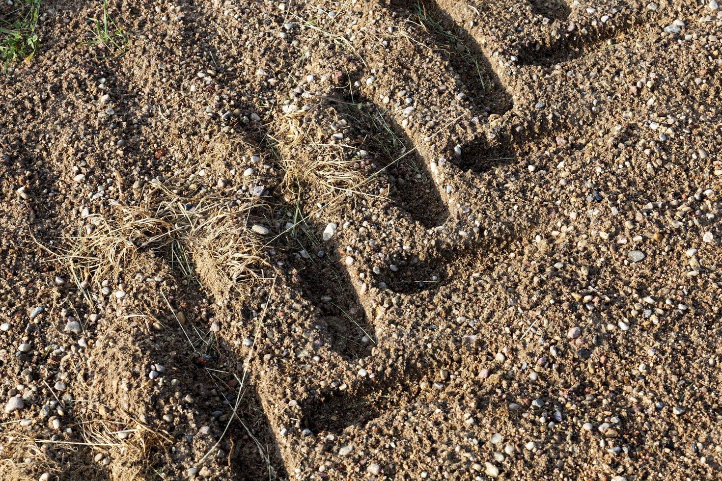 traces on the sand after rain photo