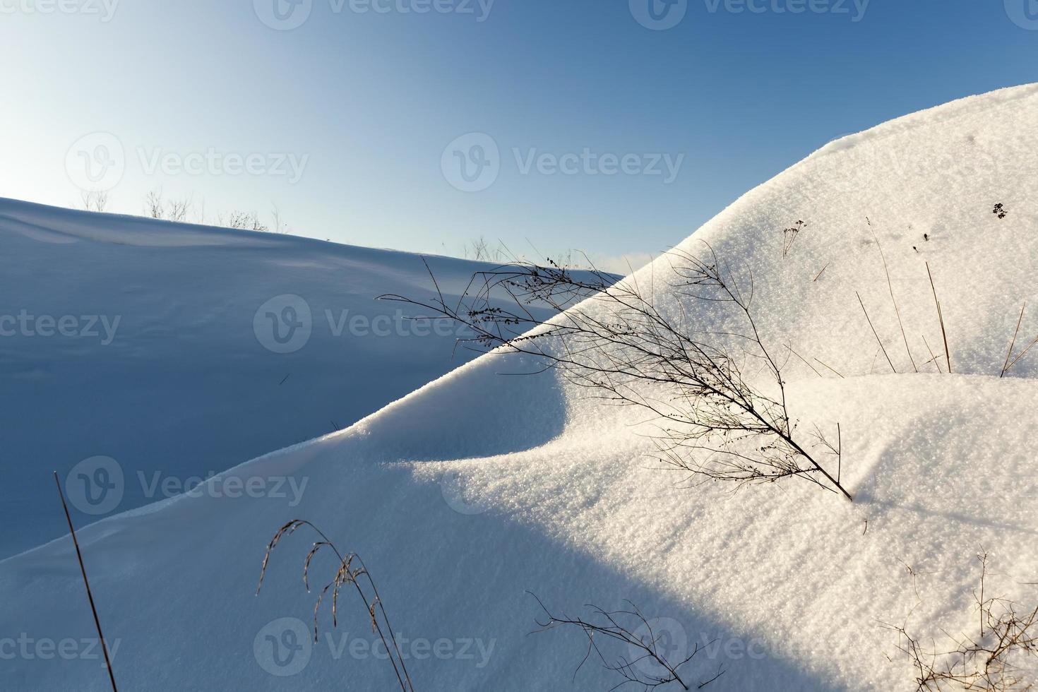 suelo cubierto y hierba con una gruesa capa de nieve después de un ciclón foto