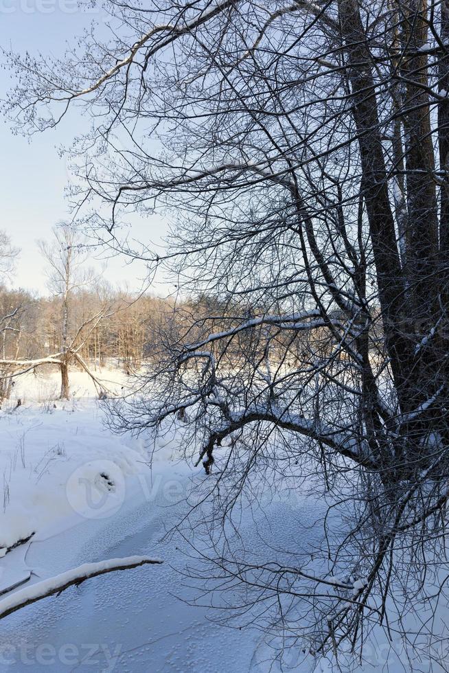 frozen in winter the river photo