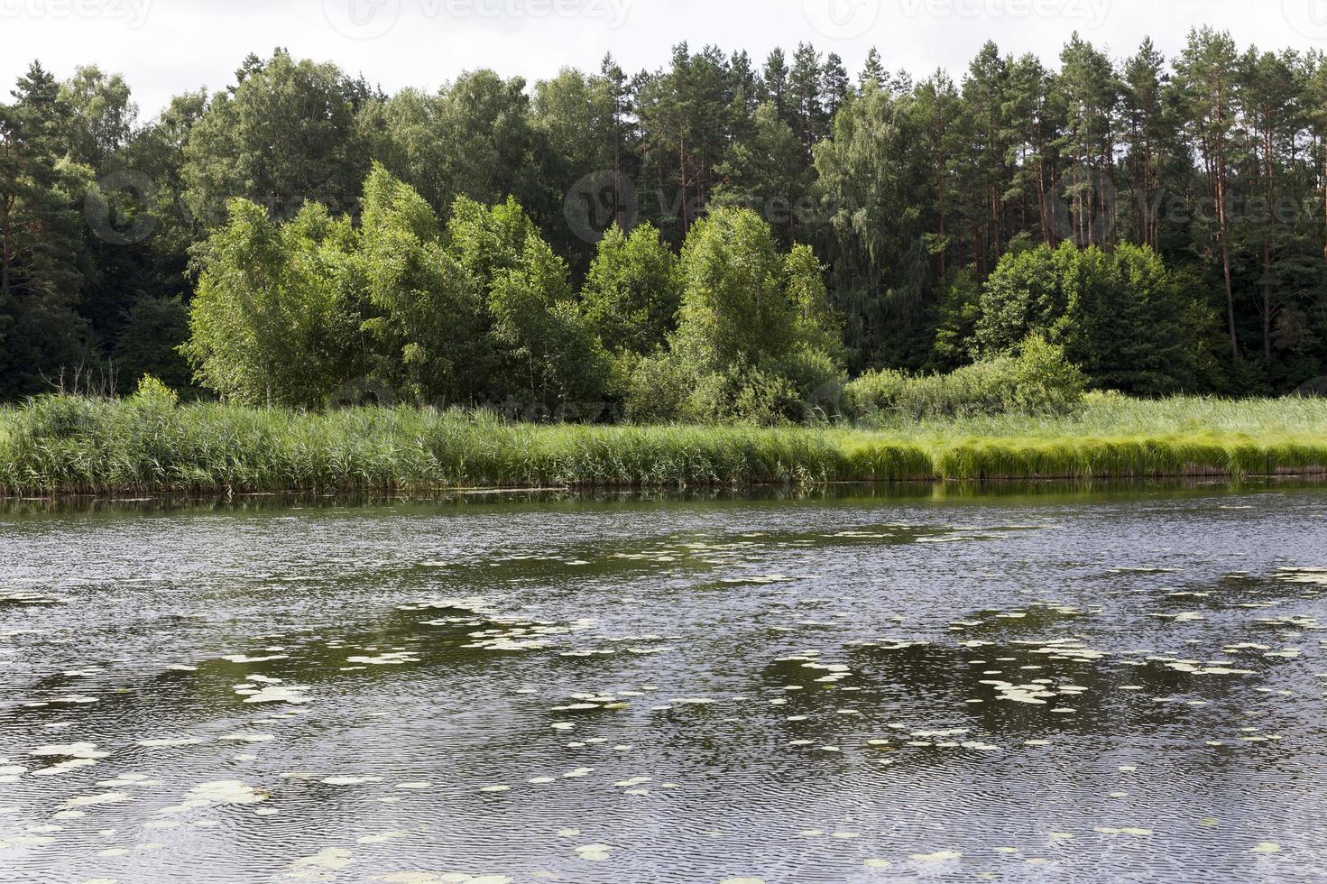 lake with dirty water in summer 9717645 Stock Photo at Vecteezy