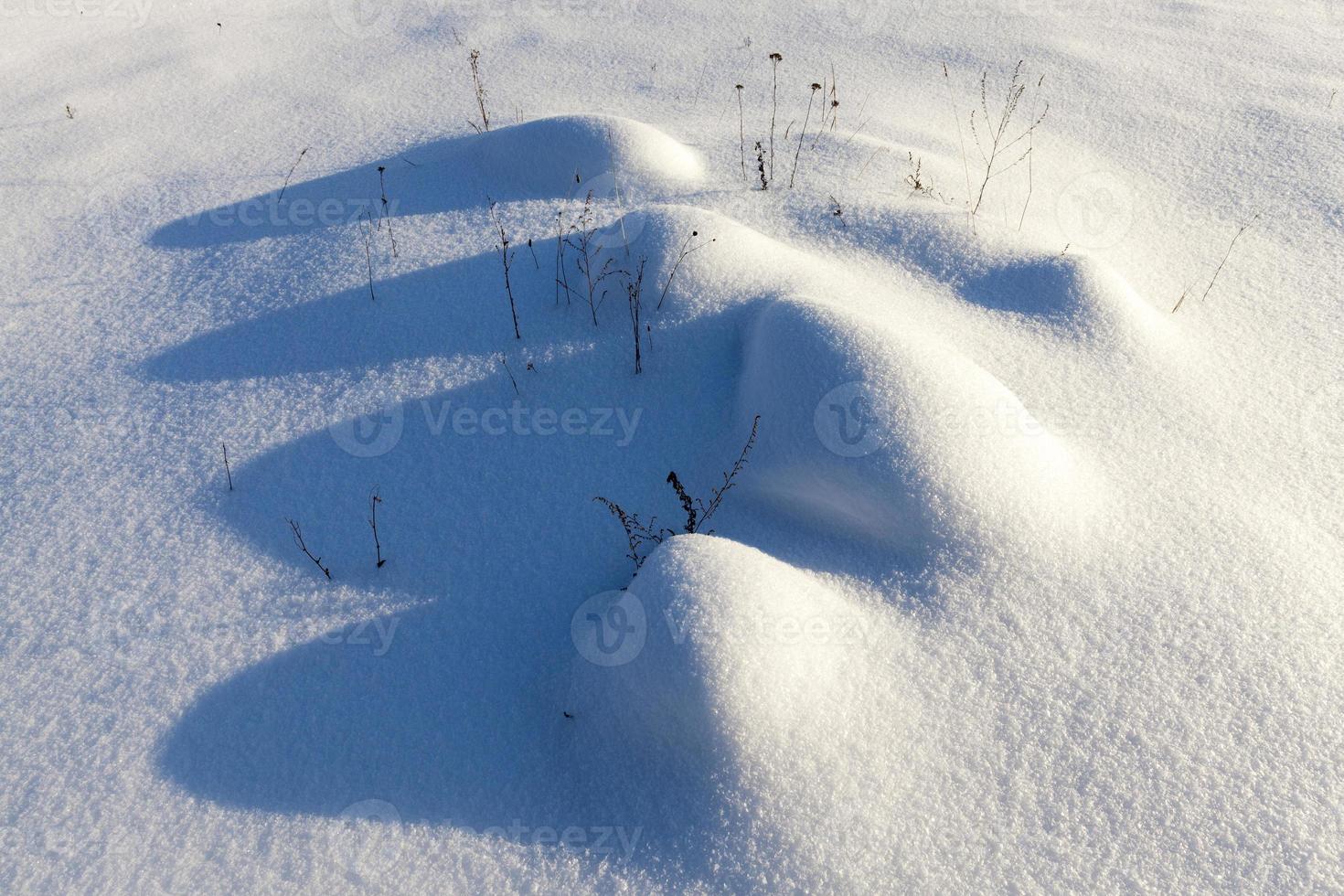 snowdrifts in the winter season photo