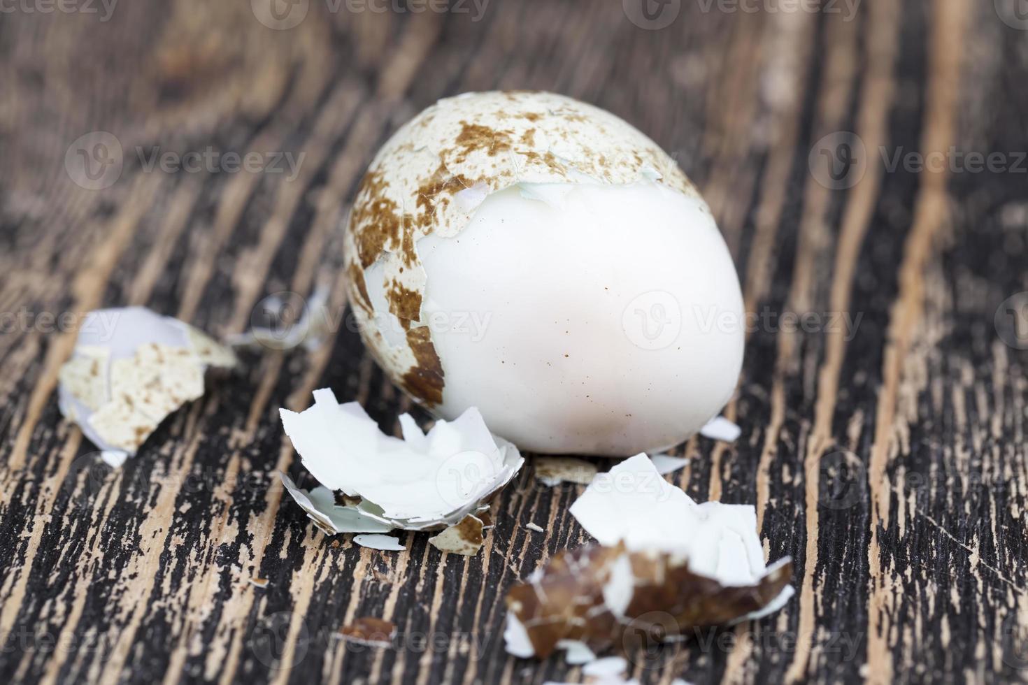 boiled quail egg on a wooden table photo