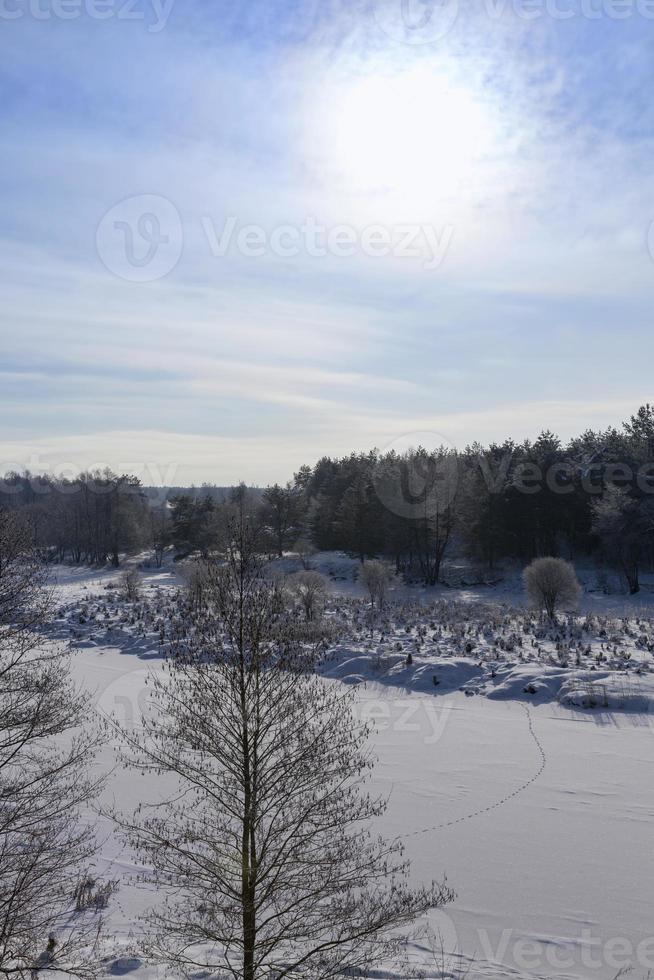 frozen water in the river photo