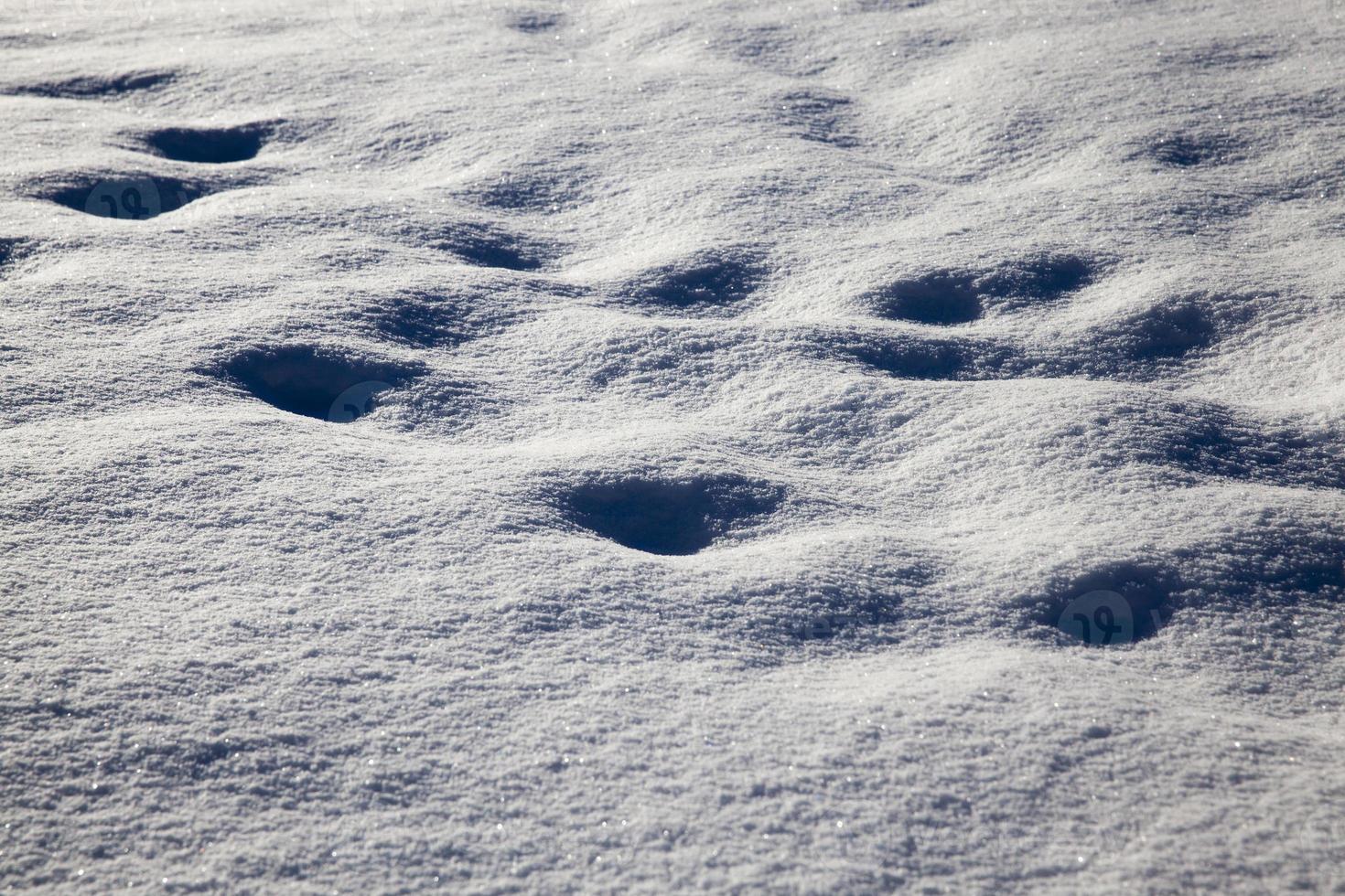 footprints and dents in the snow after people passed photo