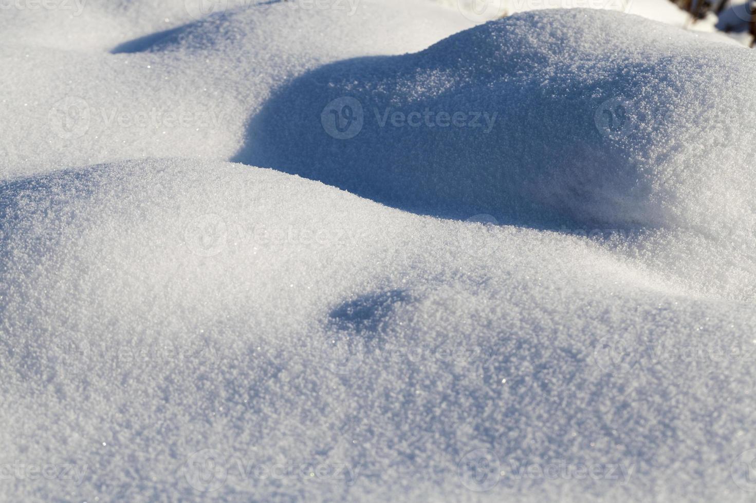 hummocks in the swamp large drifts after snowfalls photo