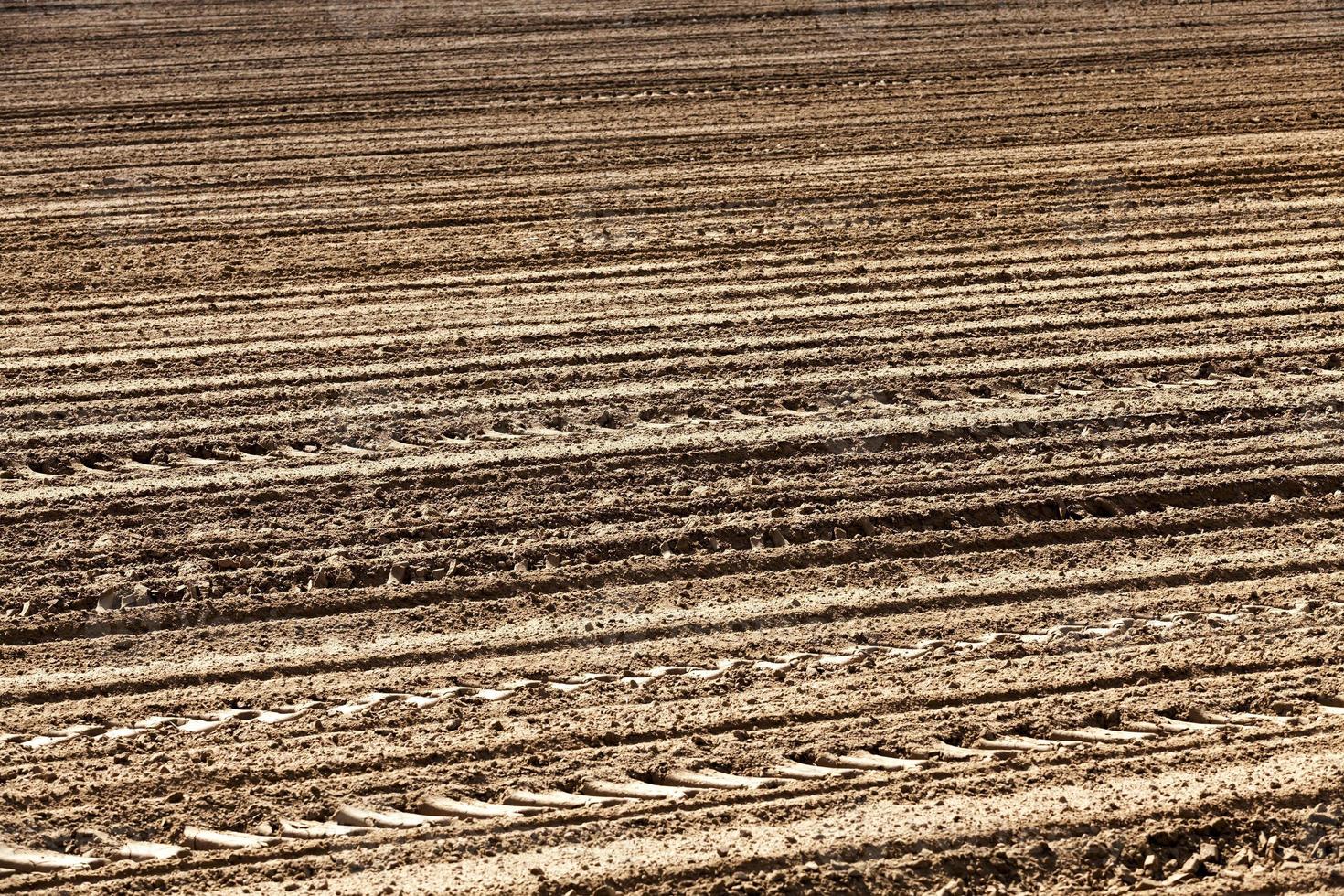 the plowed soil on which to grow cereal crops photo