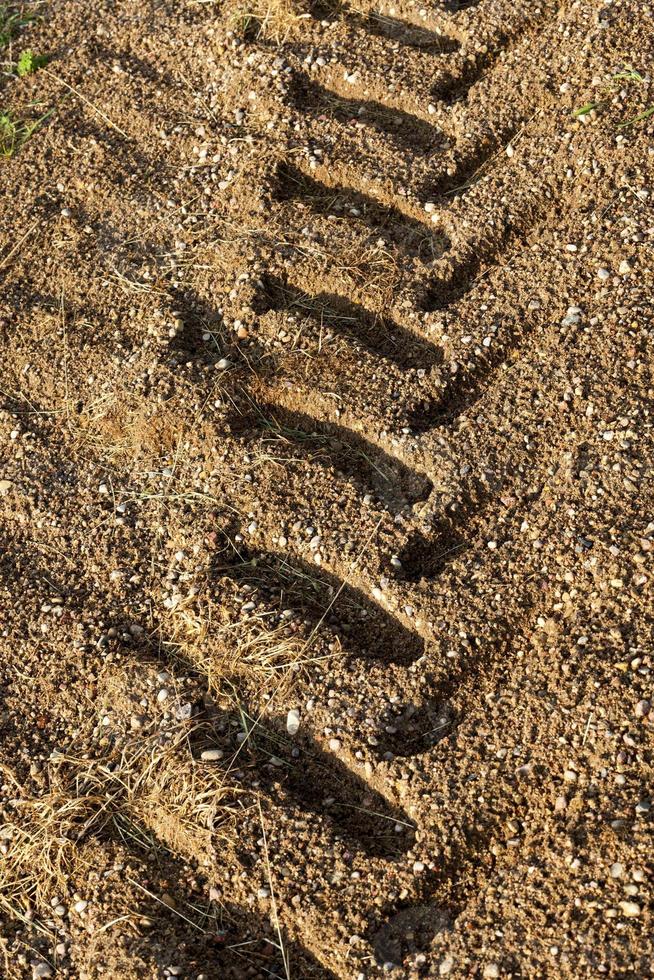 traces on the sand after rain photo