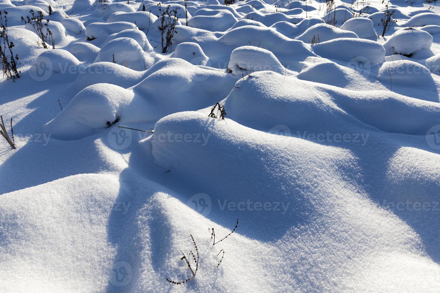 the winter season with cold weather and a lot of snow photo