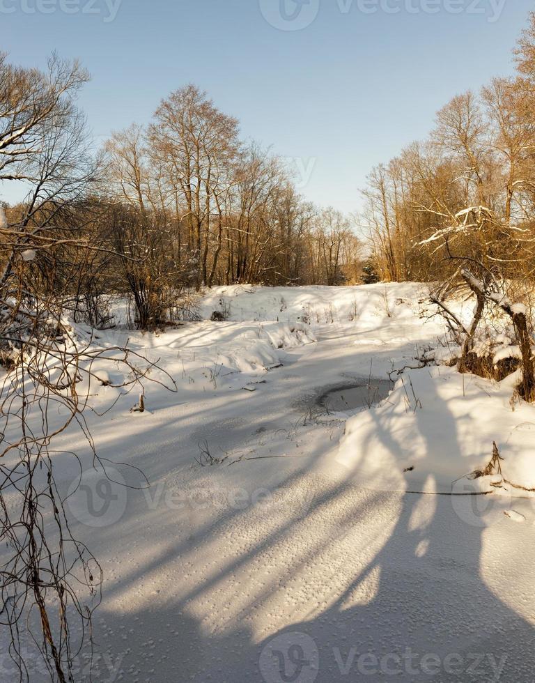 snow drifts in the winter season photo