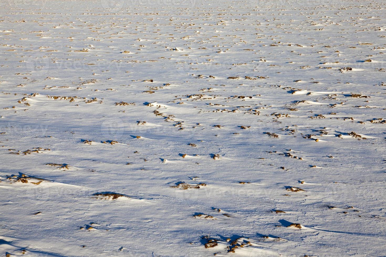 Snow after snowfall photo