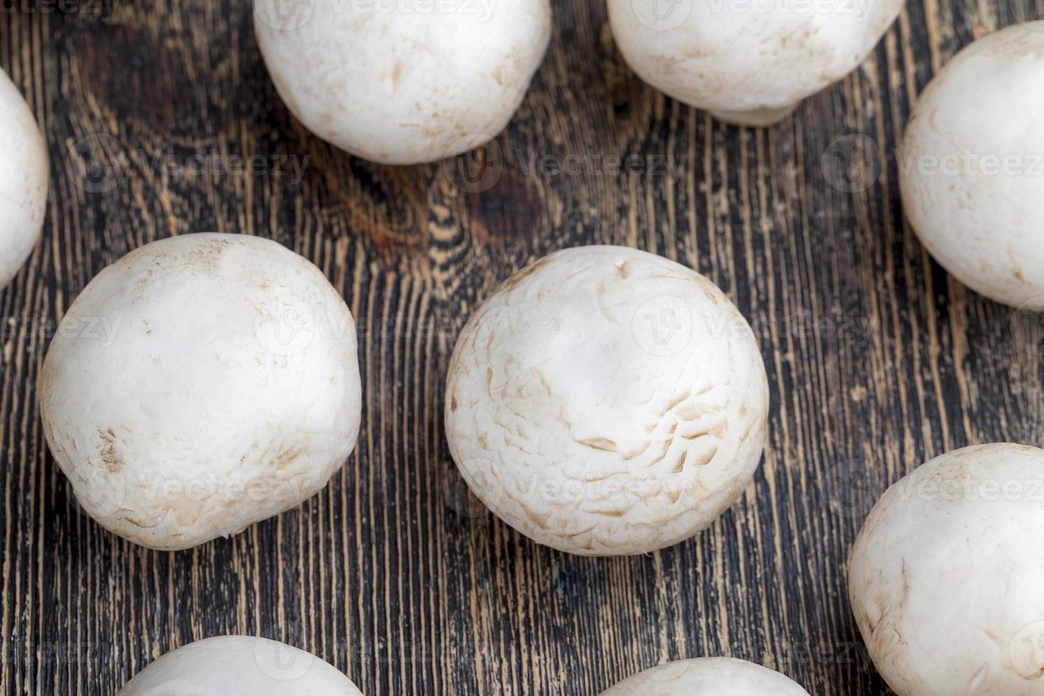 unwashed mushrooms champignon during cooking photo