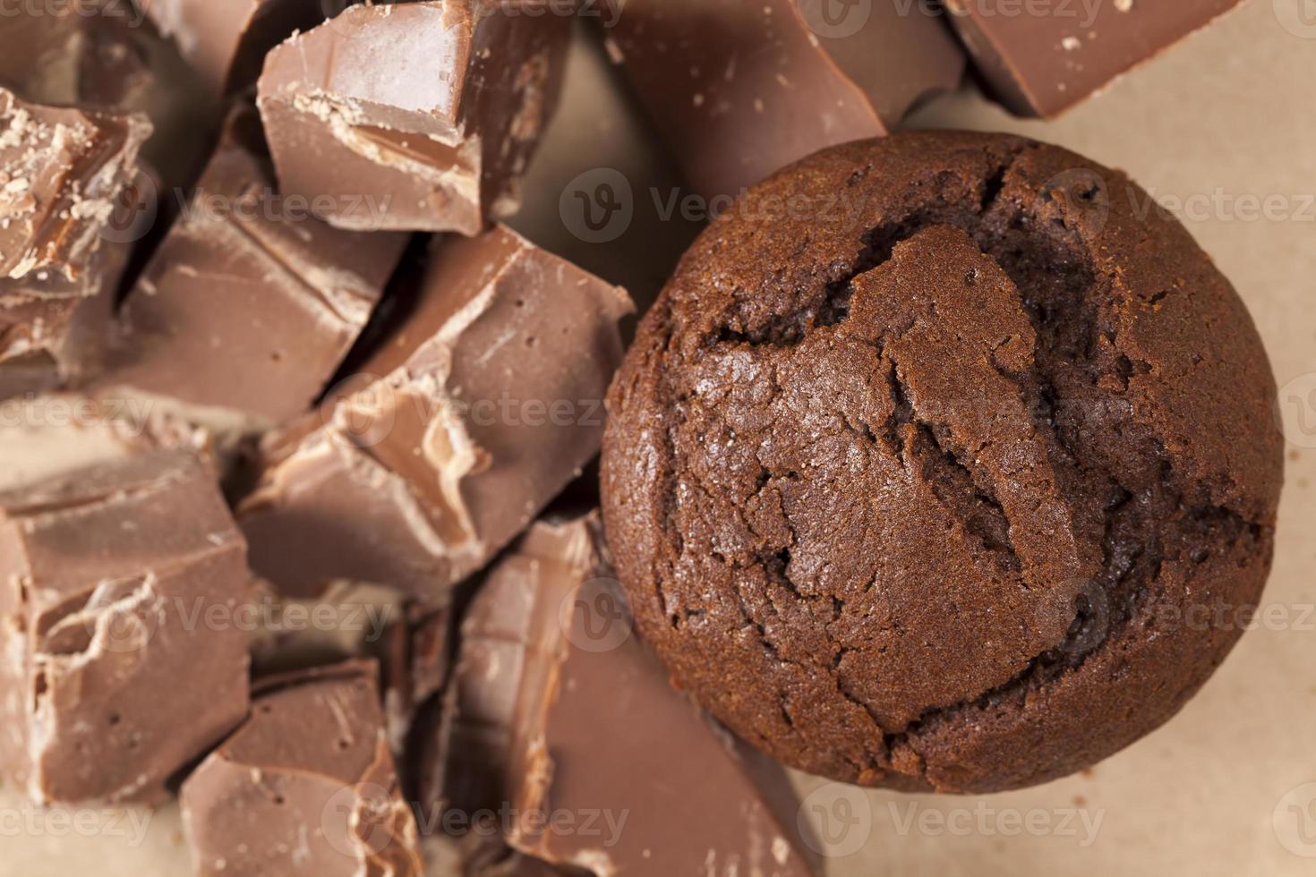 pieces of large natural real chocolate and chocolate cake photo