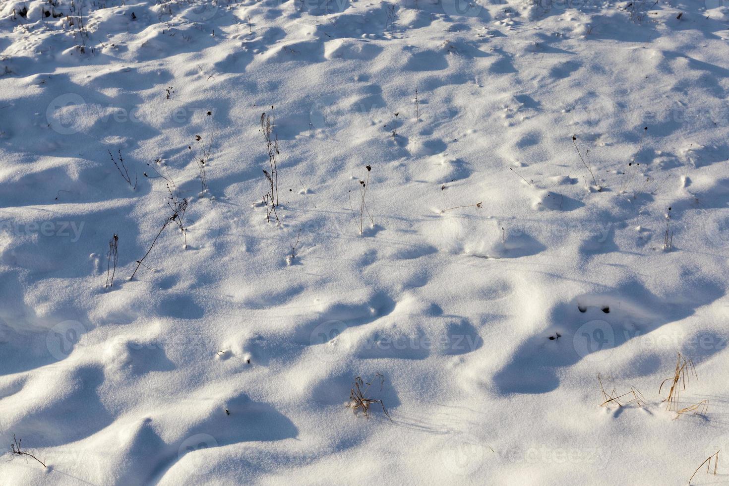 deep drifts of soft snow in the winter season photo