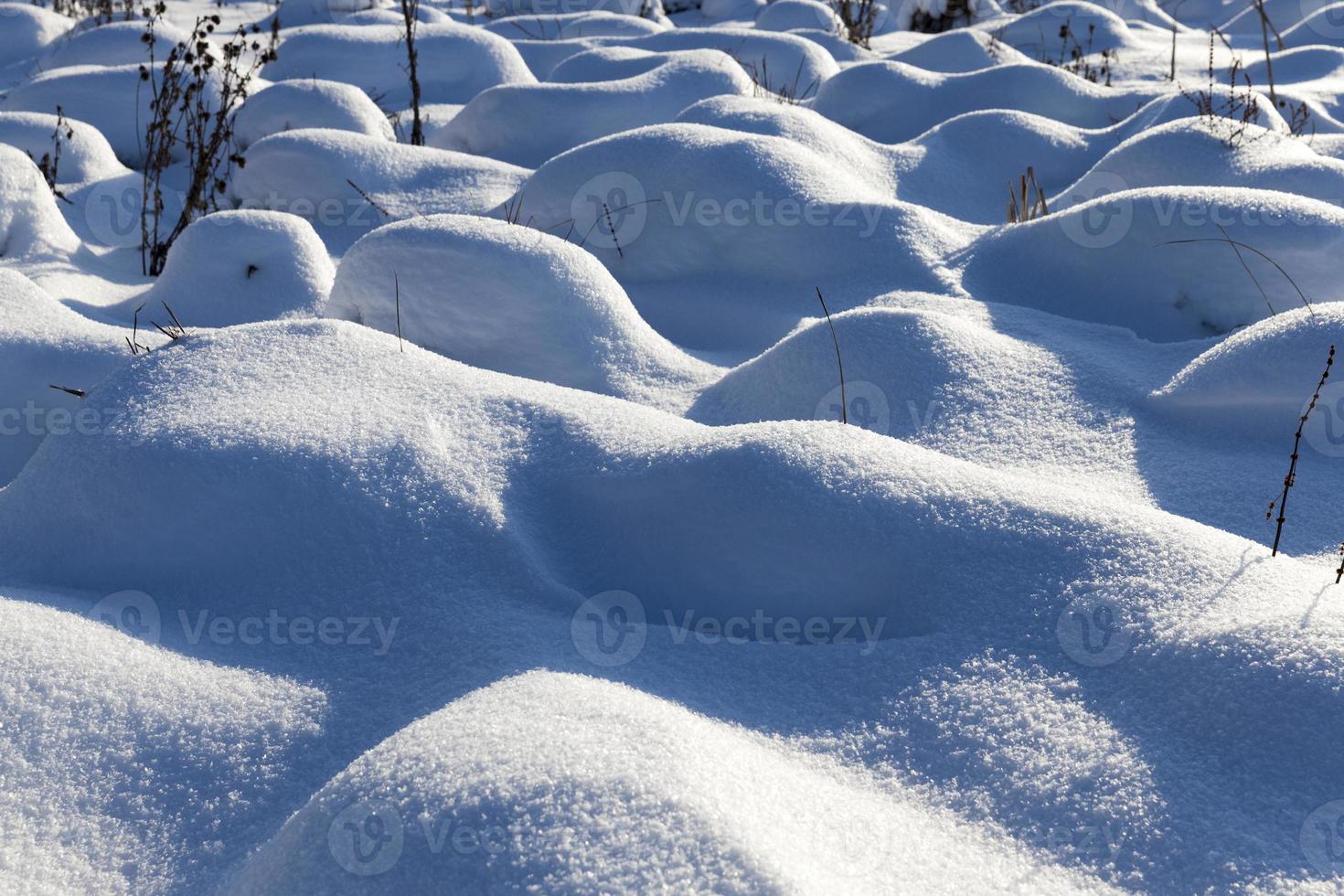 hummocks in the swamp large drifts after snowfalls and blizzards photo