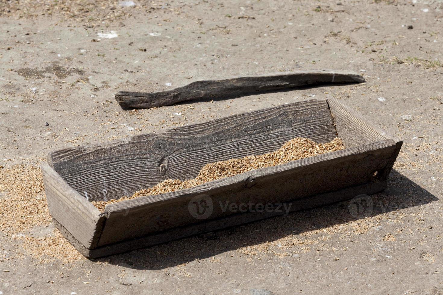 old wooden trough with grain 9720245 Stock Photo at Vecteezy