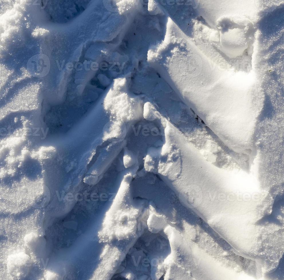 Snow drifts in winter photo