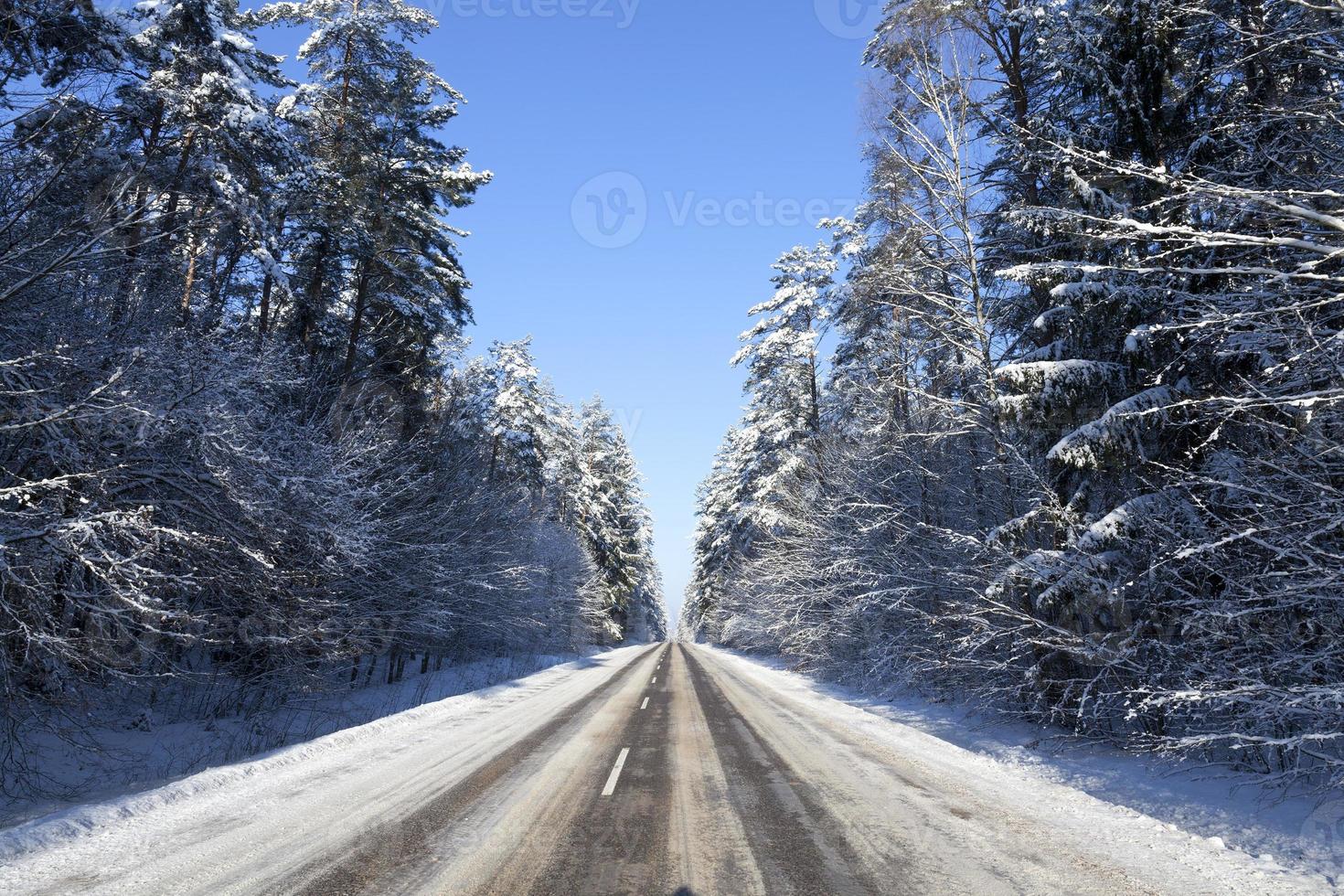 winter landscape, road photo