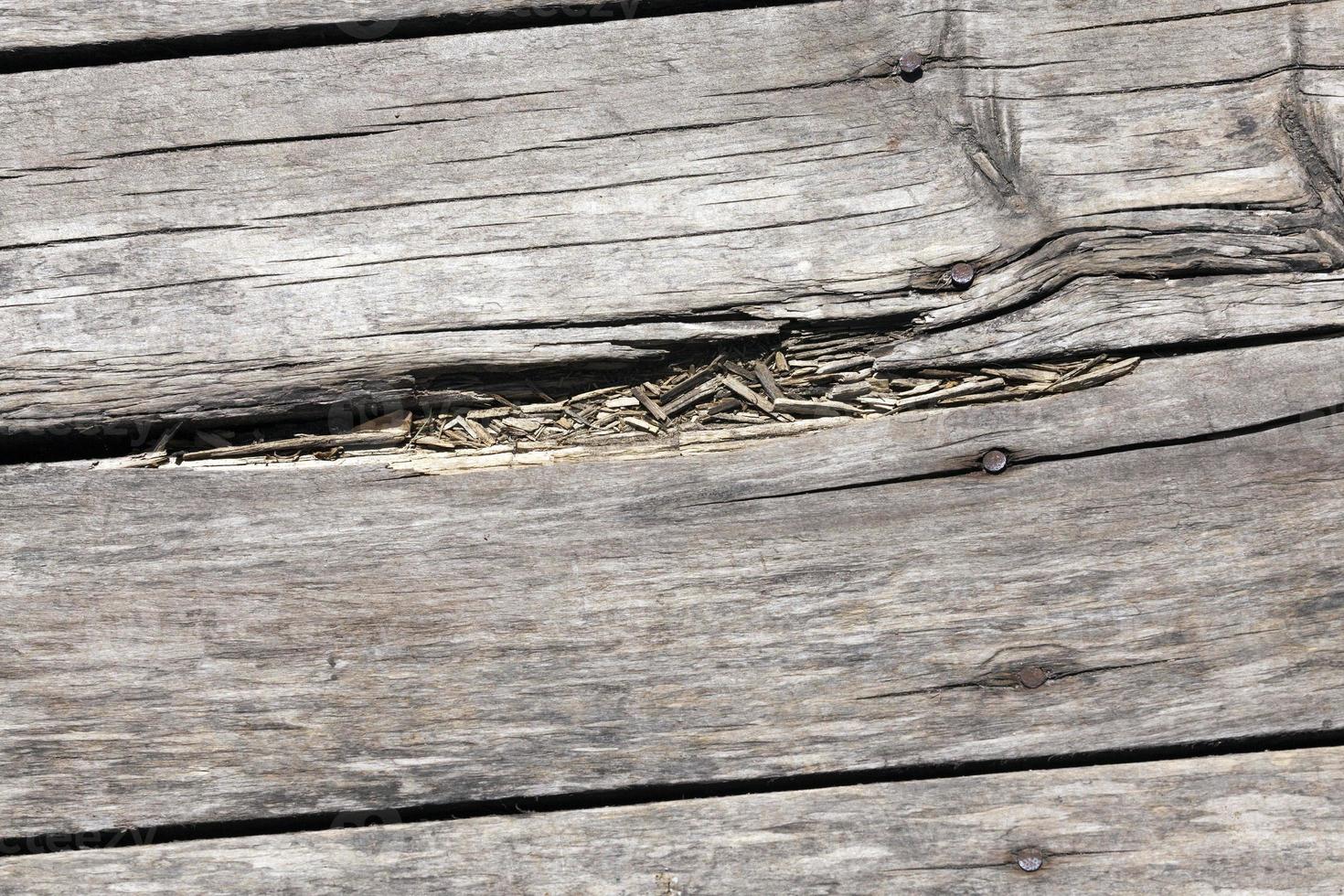 old wooden boards photo