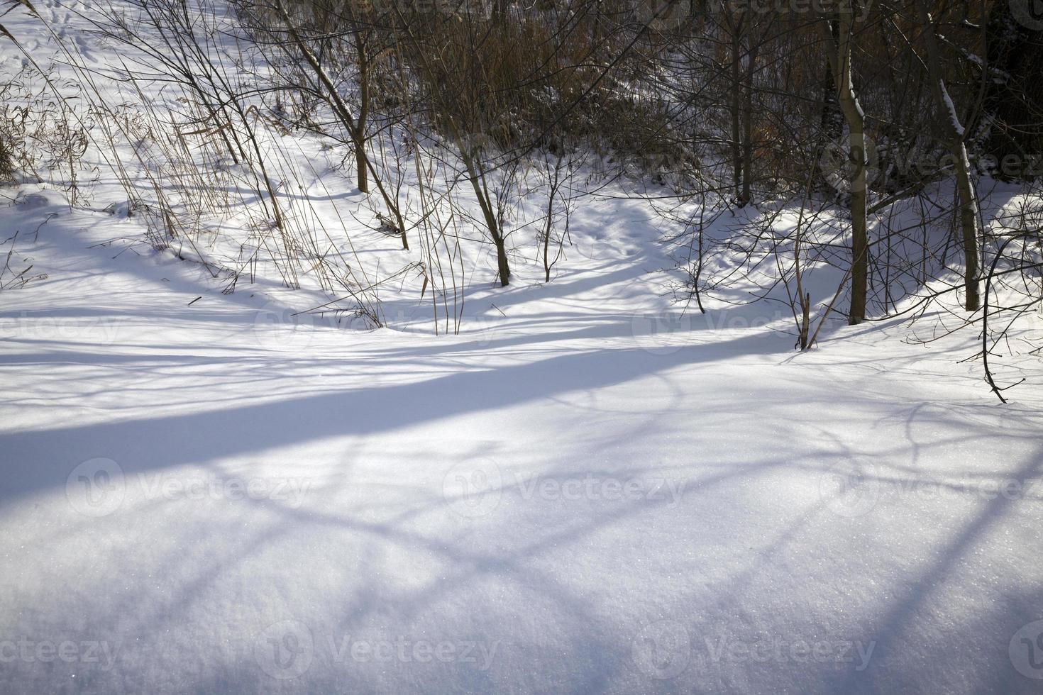 snow drifts winter. photo
