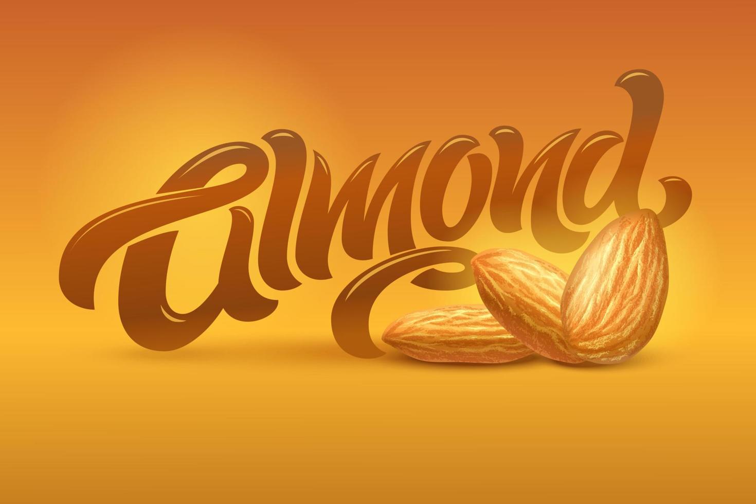 letras de almendras con ilustración realista de almendras sobre fondo marrón. ilustración vectorial plantilla para diseño de embalaje, diseño de impresión, postal, pancarta, etiqueta, afiche, fondo. vector