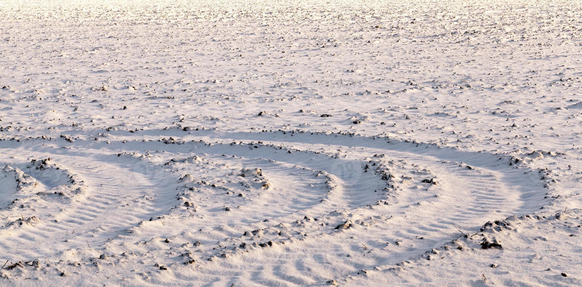 Traces of transport in the winter season photo