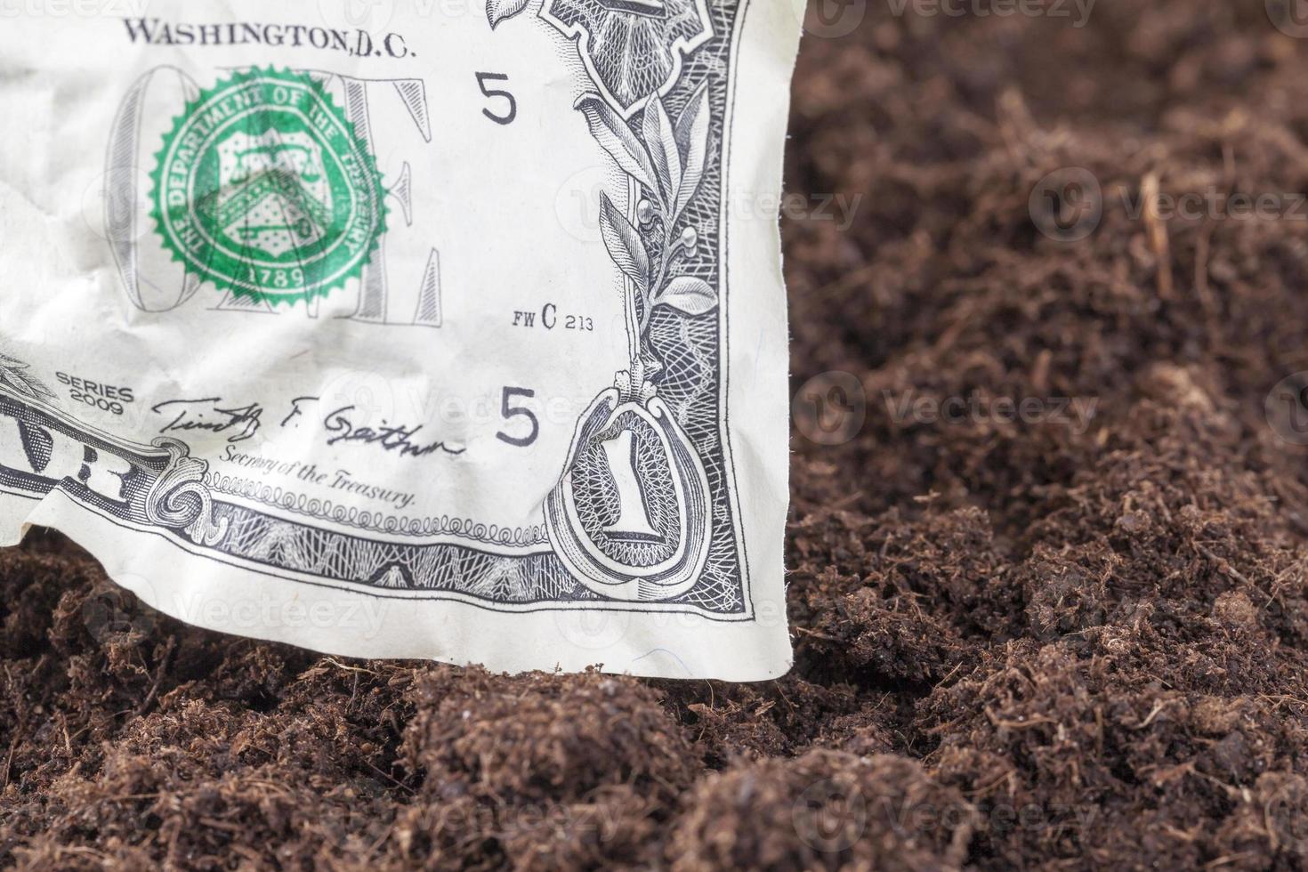 one crumpled American dollar photo