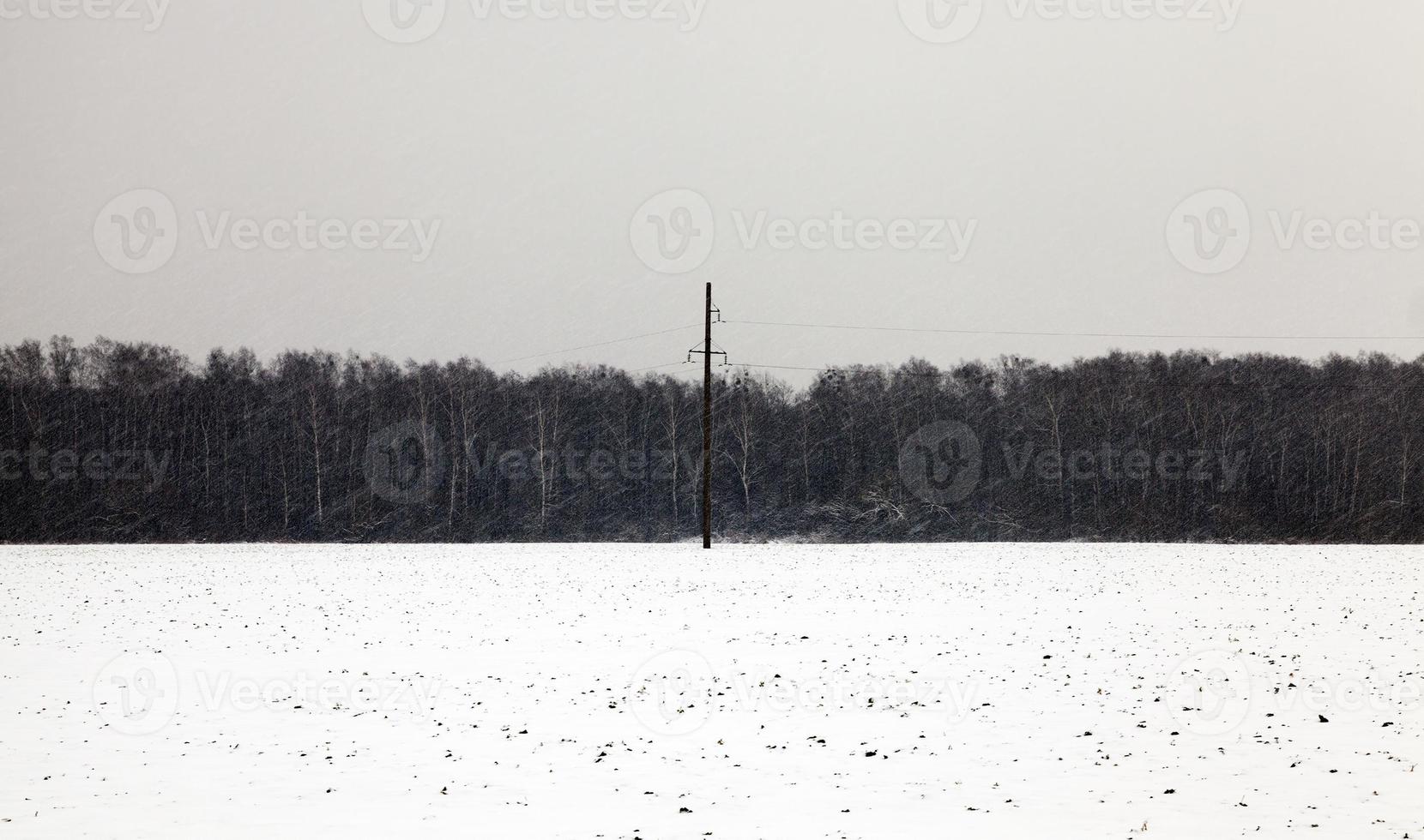 Snow drifts in winter photo