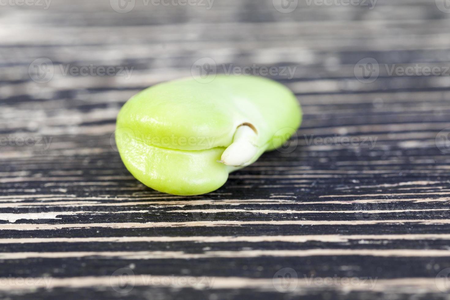 Peeled bean, close up photo