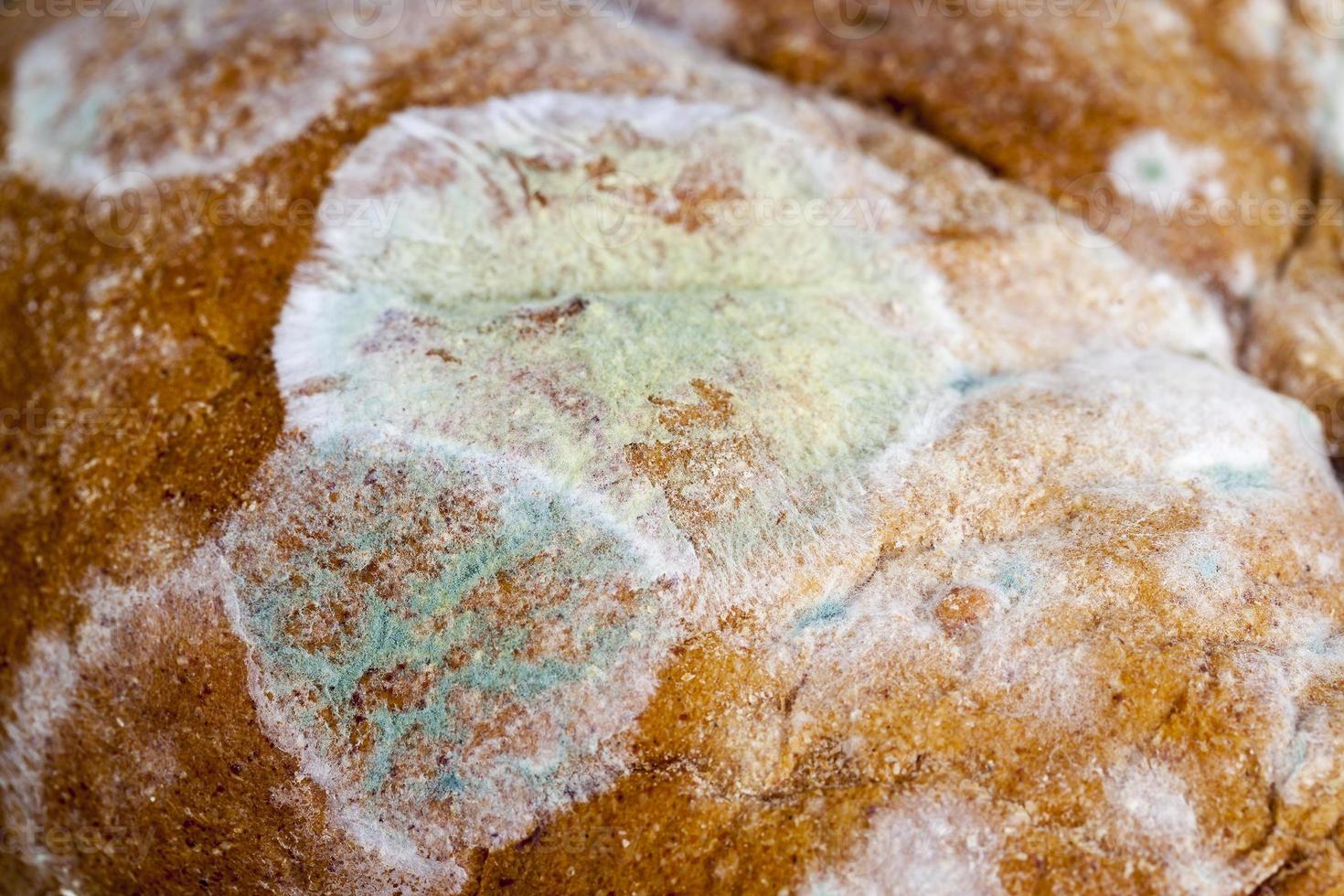 toxic black rye bread photo