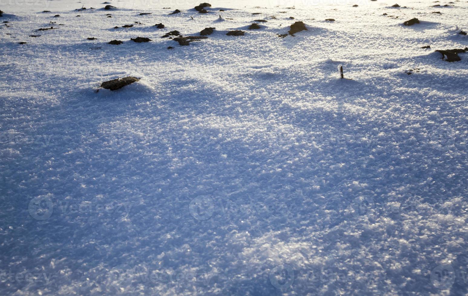 agricultural field in winter photo