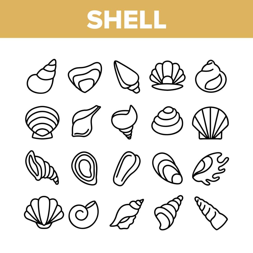 conjunto de iconos de colección de conchas marinas y conchas vectoriales vector