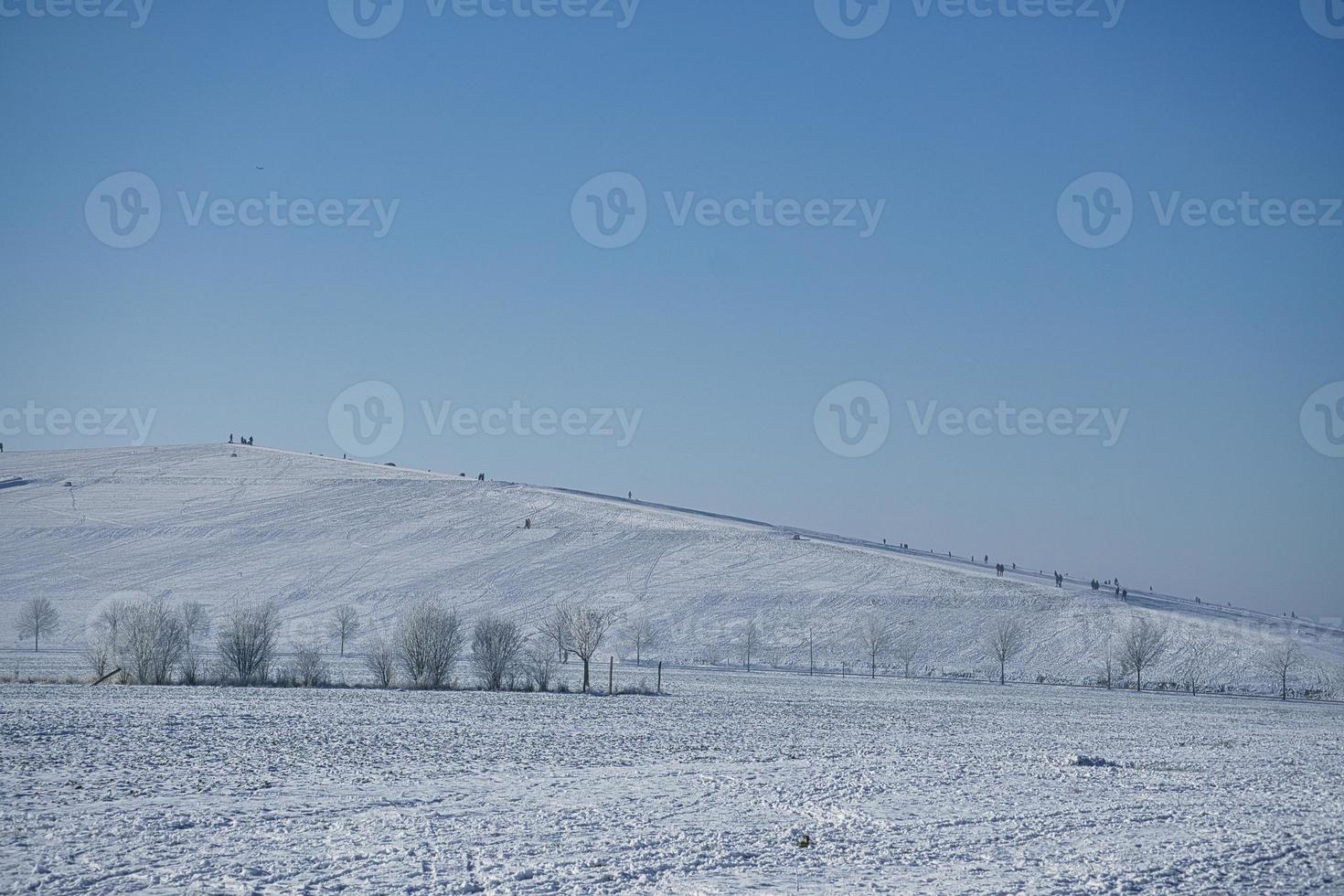 Winter landscape with trees and field in frosty cold christmas time. photo