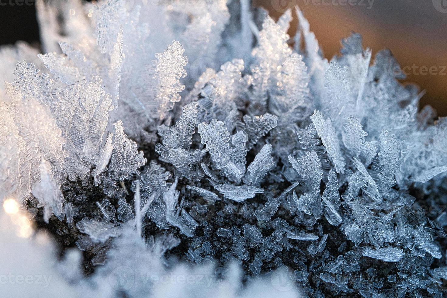 Ice crystals that have formed on a tree trunk and have grown in height. photo