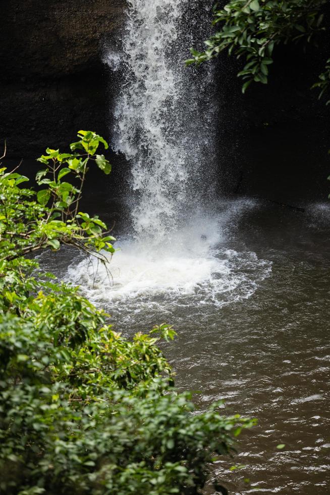 Waterfall in the big forest, beautiful in nature. photo