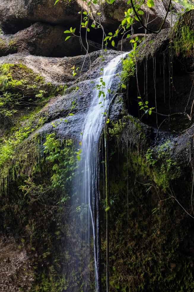 A natural waterfall in a big forest in the midst of beautiful nature. photo