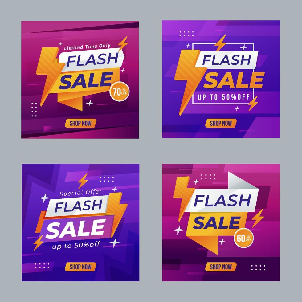 Flash Sale Social Media Post vector