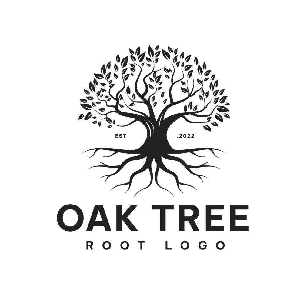 Oak Family Tree of Life logo design Creeper root tree,vector,symbol,template vector