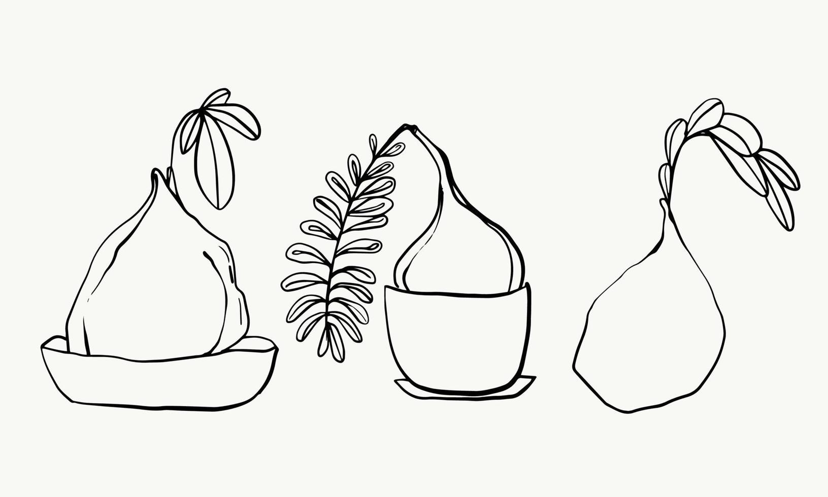 Leaves and tropical line foliage isolated on white background. vector design