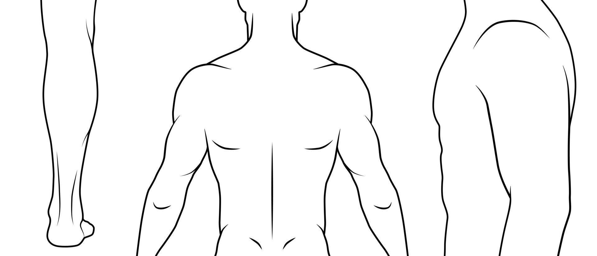 ilustración de contorno vectorial cuerpo masculino. partes del cuerpo por ejemplo de tatuaje, deporte, ilustraciones médicas. en blanco y negro. vector