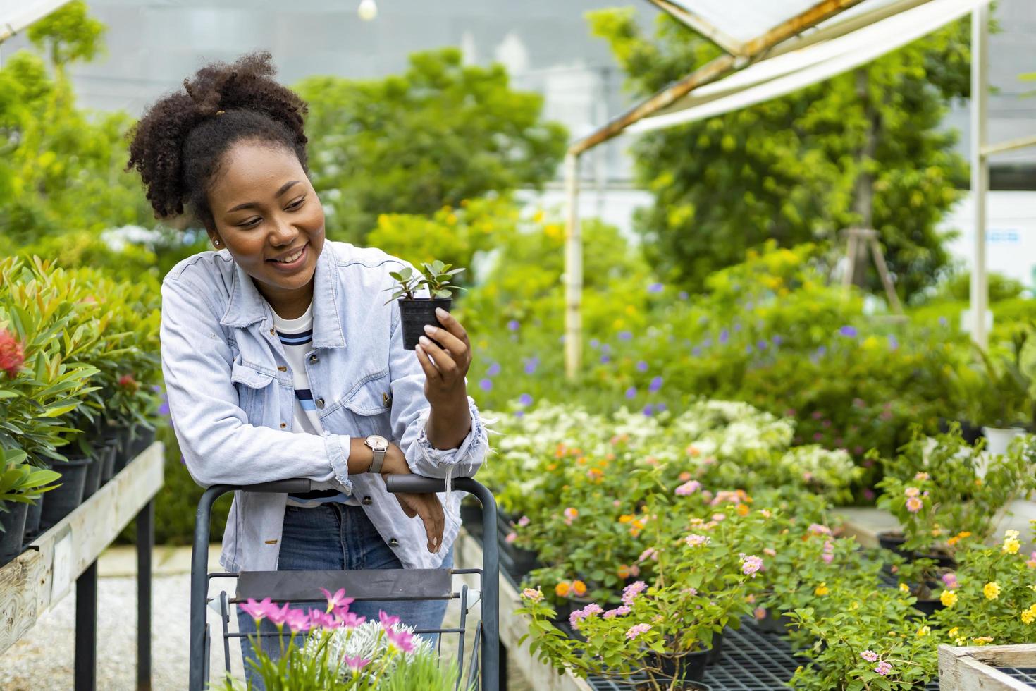 un joven cliente africano está eligiendo una planta exótica del vivero del centro de jardinería local con un carrito de compras lleno de plantas de verano para la jardinería de fin de semana y actividades al aire libre foto