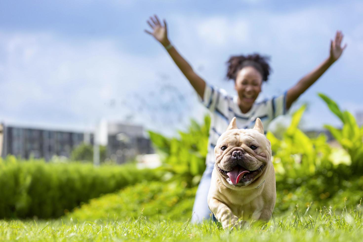 mujer afroamericana está jugando con su cachorro de bulldog francés mientras camina en el parque de perros en el césped después de hacer ejercicio matutino durante el verano foto