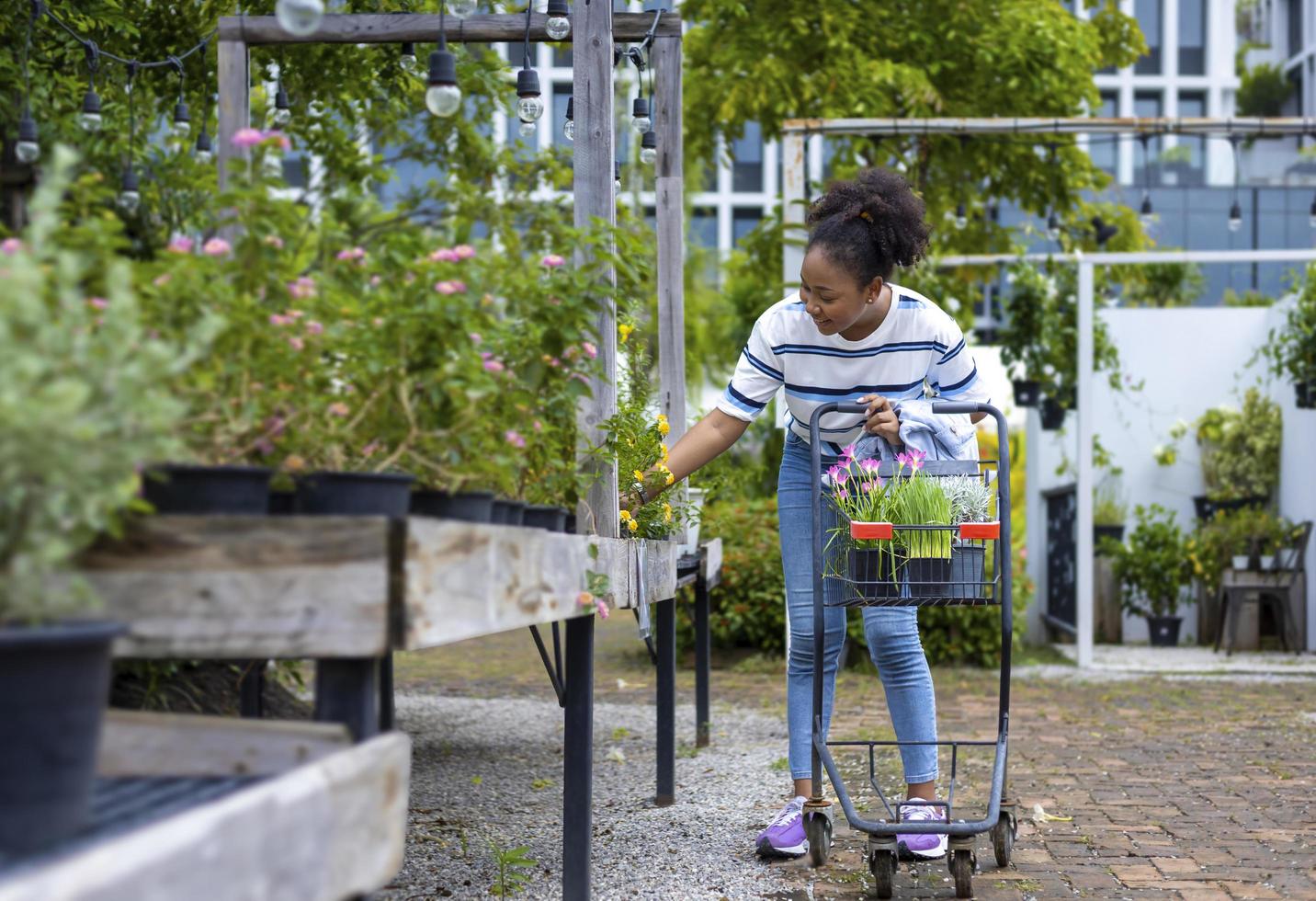 Young African customer is choosing exotic plant from the local garden center nursery with shopping cart full of summer plant for weekend gardening and outdoor pursuit photo