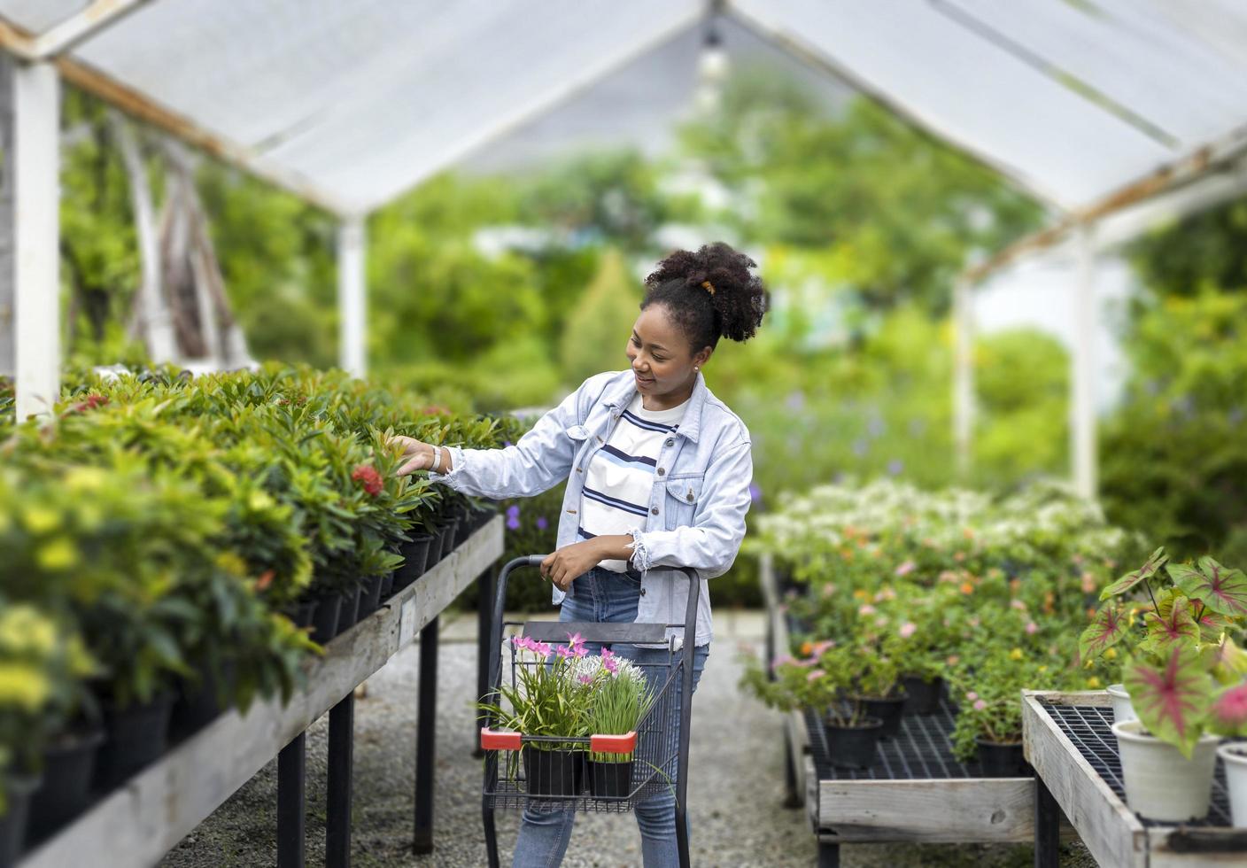 Young African customer is choosing exotic plant from the local garden center nursery with shopping cart full of summer plant for weekend gardening and outdoor pursuit photo