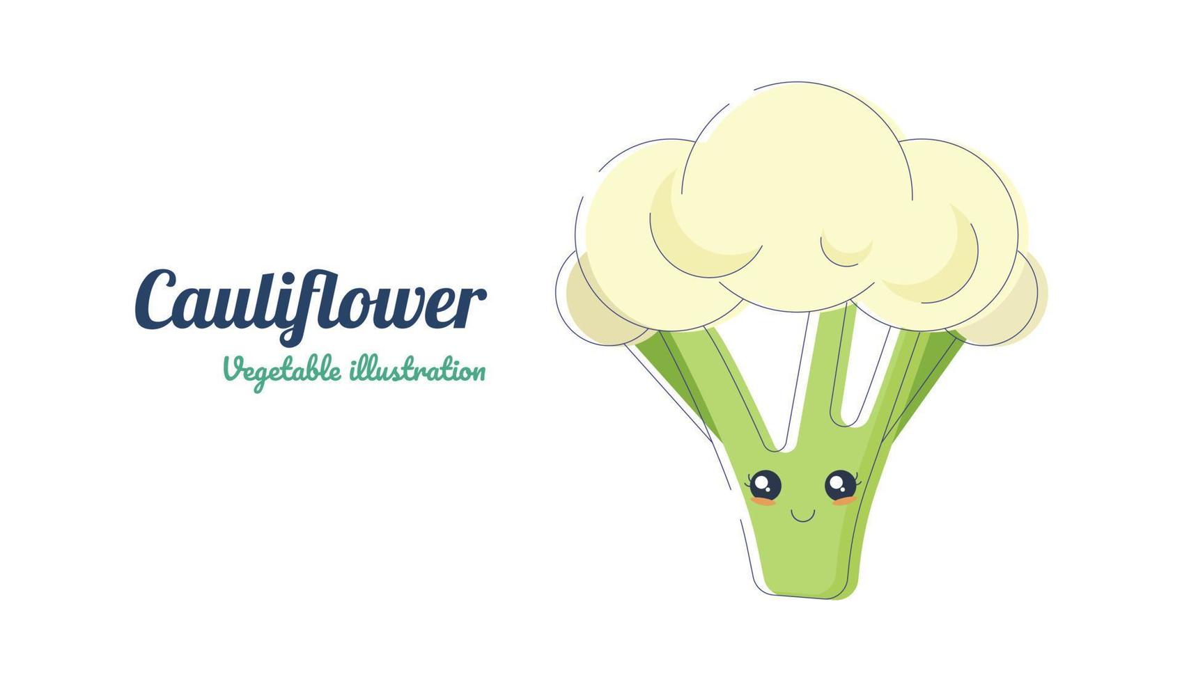 Cauliflower Illustration design vector