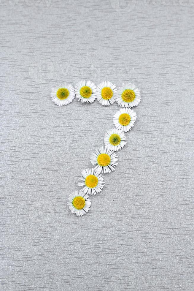 Number 7 of the daisy flower on a gray background photo