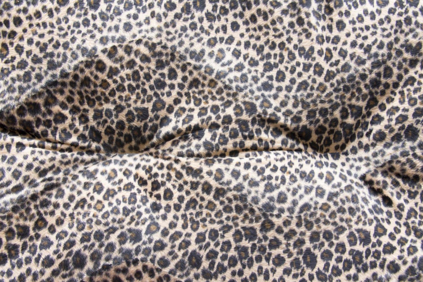 Leopard fur background. 9732368 Stock Photo at Vecteezy