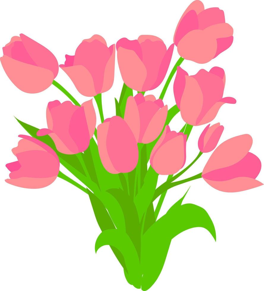 Vector flat illustration of tulips isolated on a white background. Each flower is on a separate layer. Bouquet of tulips