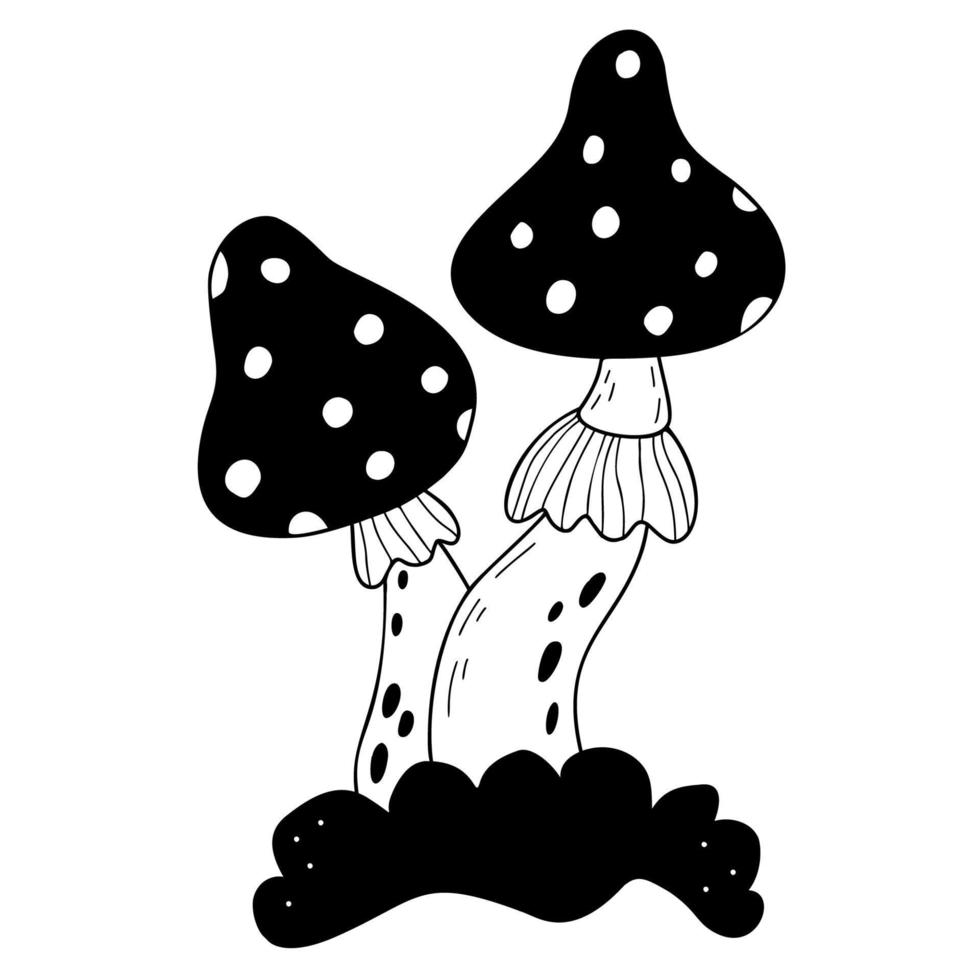 Poisonous forest fly agaric mushrooms. Magic ritual fly agaric. Vector illustration. Decorative hand drawn.